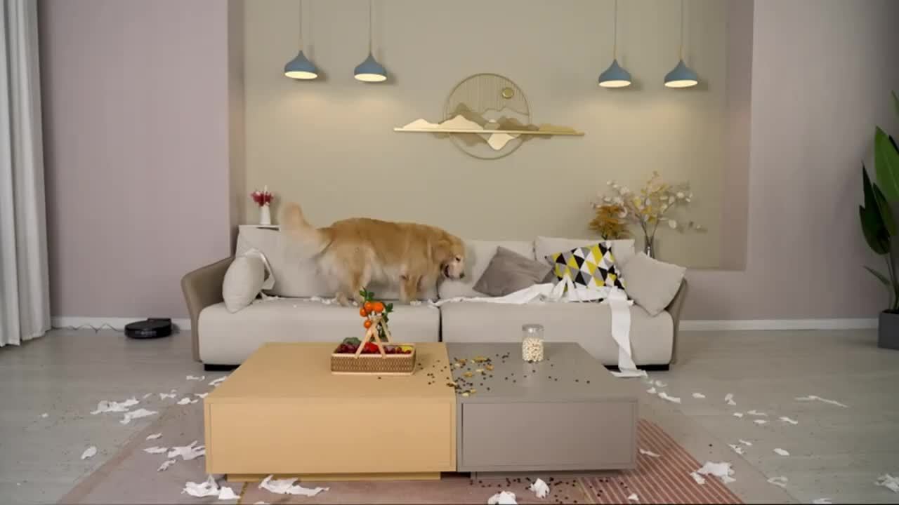 Robot Vacuum Cleaner And Mop Combo, WiFi/App Controlled