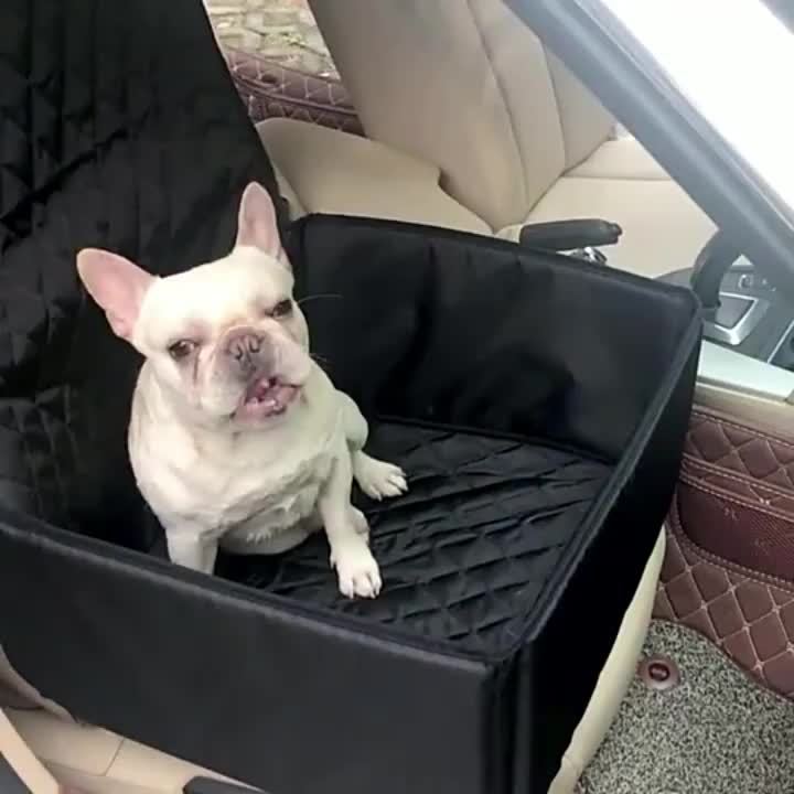 Deluxe Dog Car Seat Cover with Zipper - Scratch & Hair Resistant Pet Seat Protector for Cars, Trucks, and SUVs