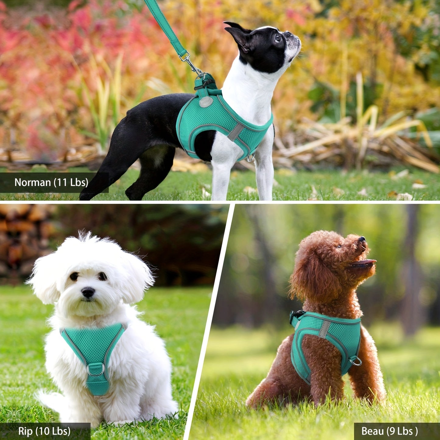 Ultimate Comfort Reflective Step-In Dog Harness and Leash Set