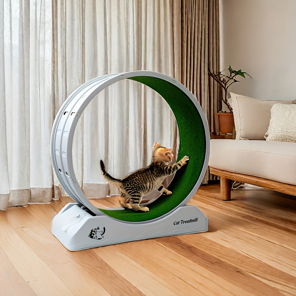 1pc Cat Exercise Wheel