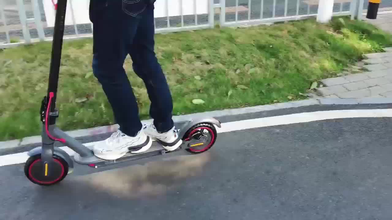 Portable Folding Commuting Electric Scooter With Dual Braking System