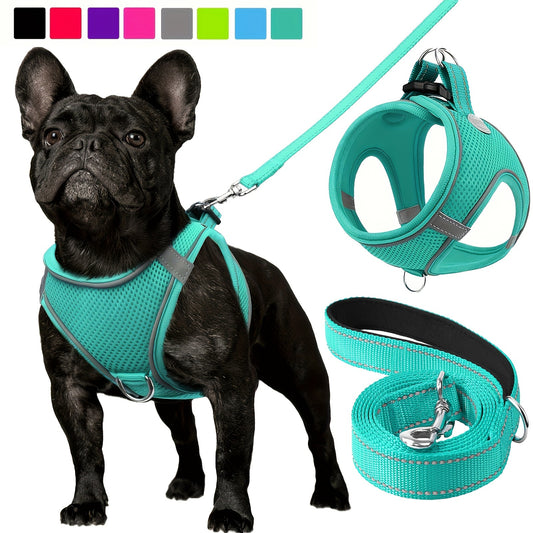 Ultimate Comfort Reflective Step-In Dog Harness and Leash Set